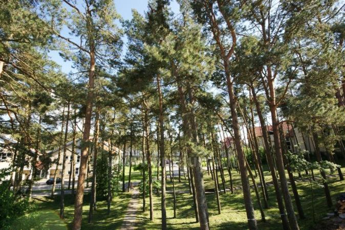 Apartament Kotedzas-Irena Nida Zewnętrze zdjęcie